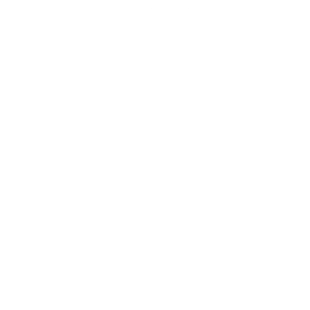 Fractional vCIO service providing strategic IT leadership for growing businesses