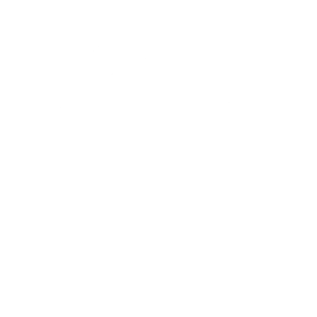 Fractional vCIO service providing strategic IT leadership for growing businesses